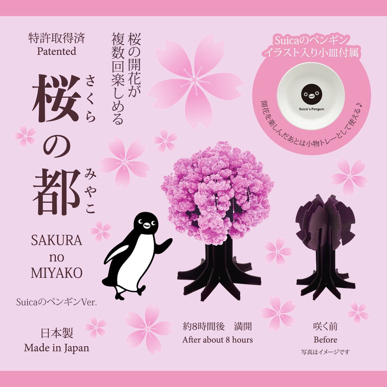 「桜の都」SuicaのペンギンVer.パッケージデザイン