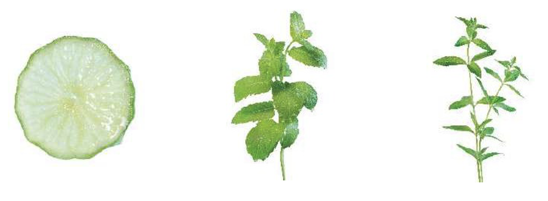 ベルガモット　フレッシュミント　ヴァーヴェナ