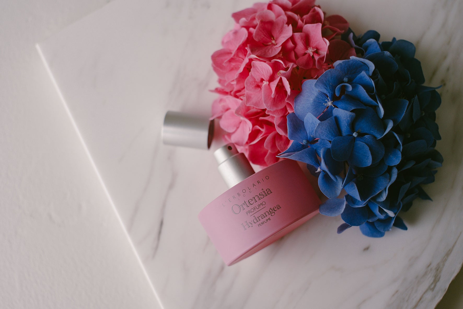 しっとり艶やかに咲くアジサイのように、清潔感と無垢な華やぎをまとう「オルテンシア パフューム」