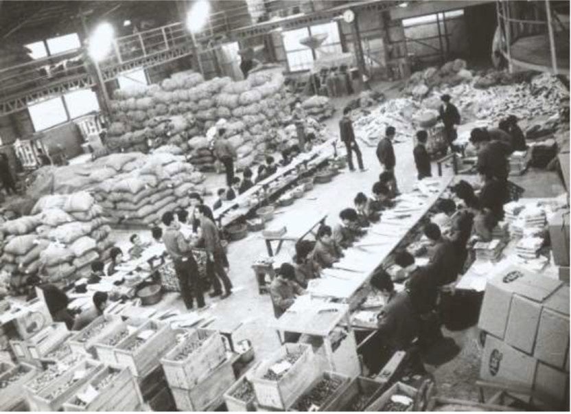 【昭和30年（1960年頃）代の発送場風景】