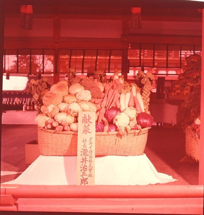 60年前【昭和38年（1963年）2月】の献菜