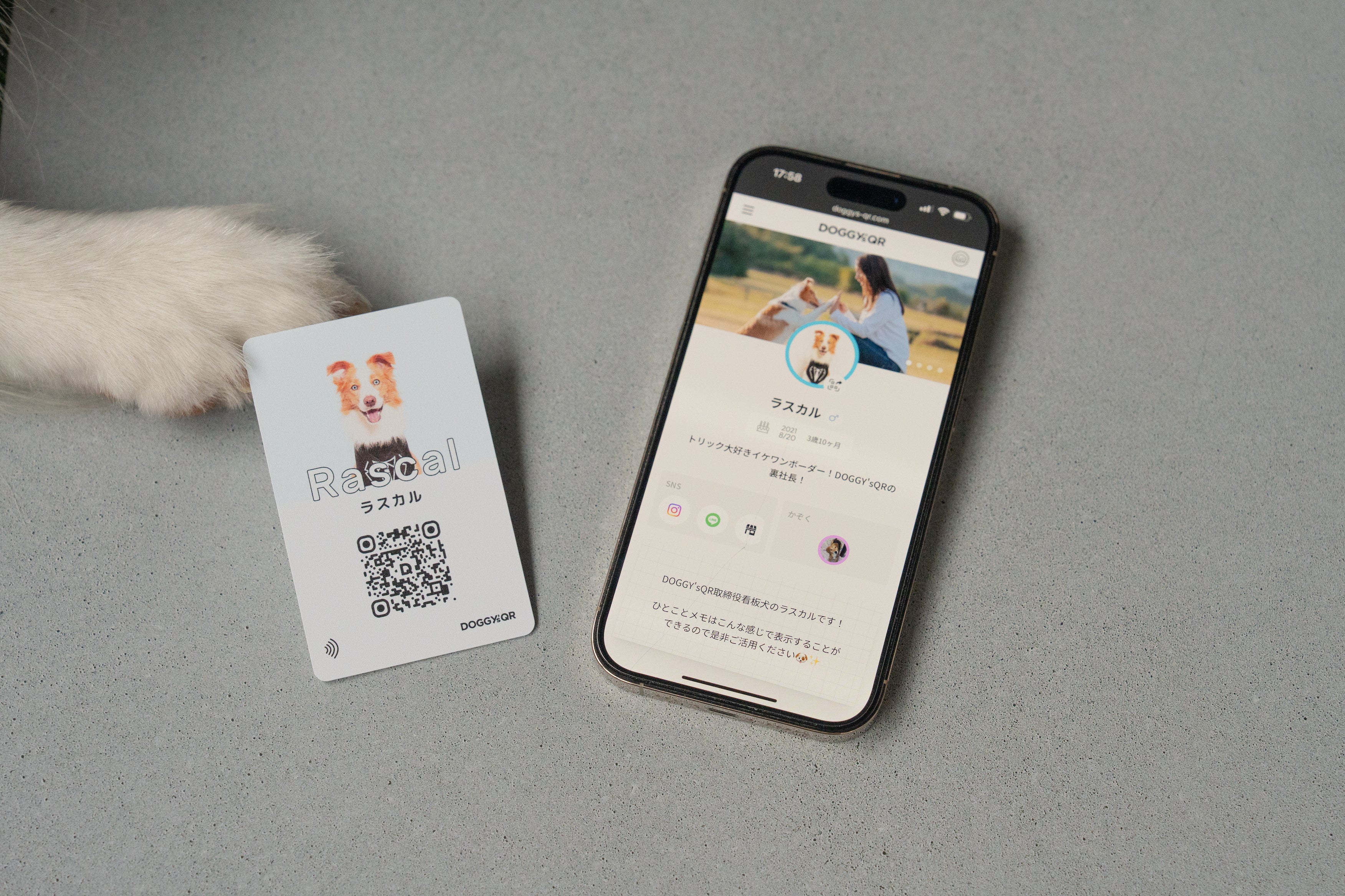 スマホをかざすだけ、愛犬の“名刺交換”。NFC搭載犬用スマート
