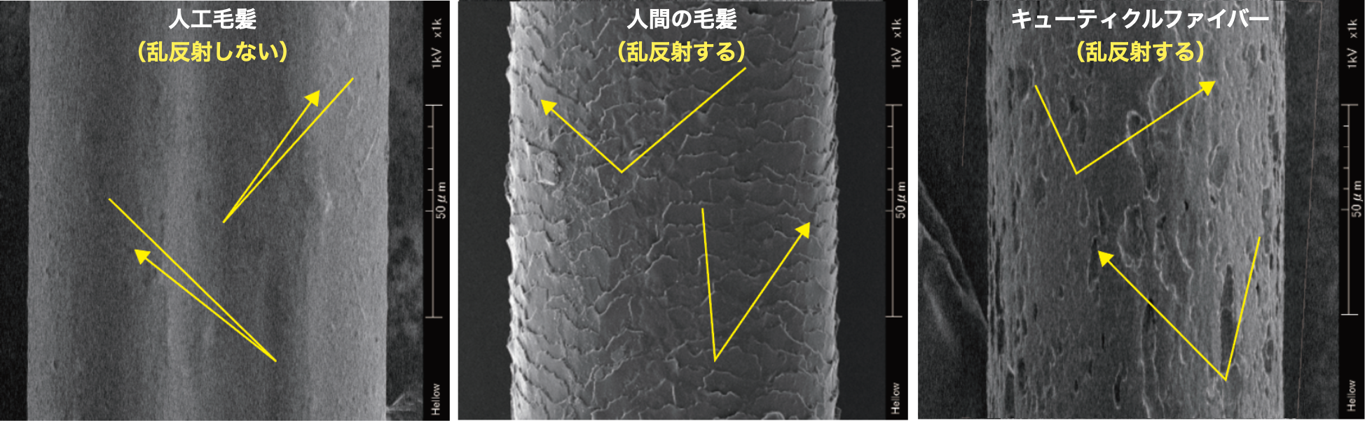 日本で開発、日本で生産するキューティクルファイバー（写真提供：株式会社エフオーゼー）