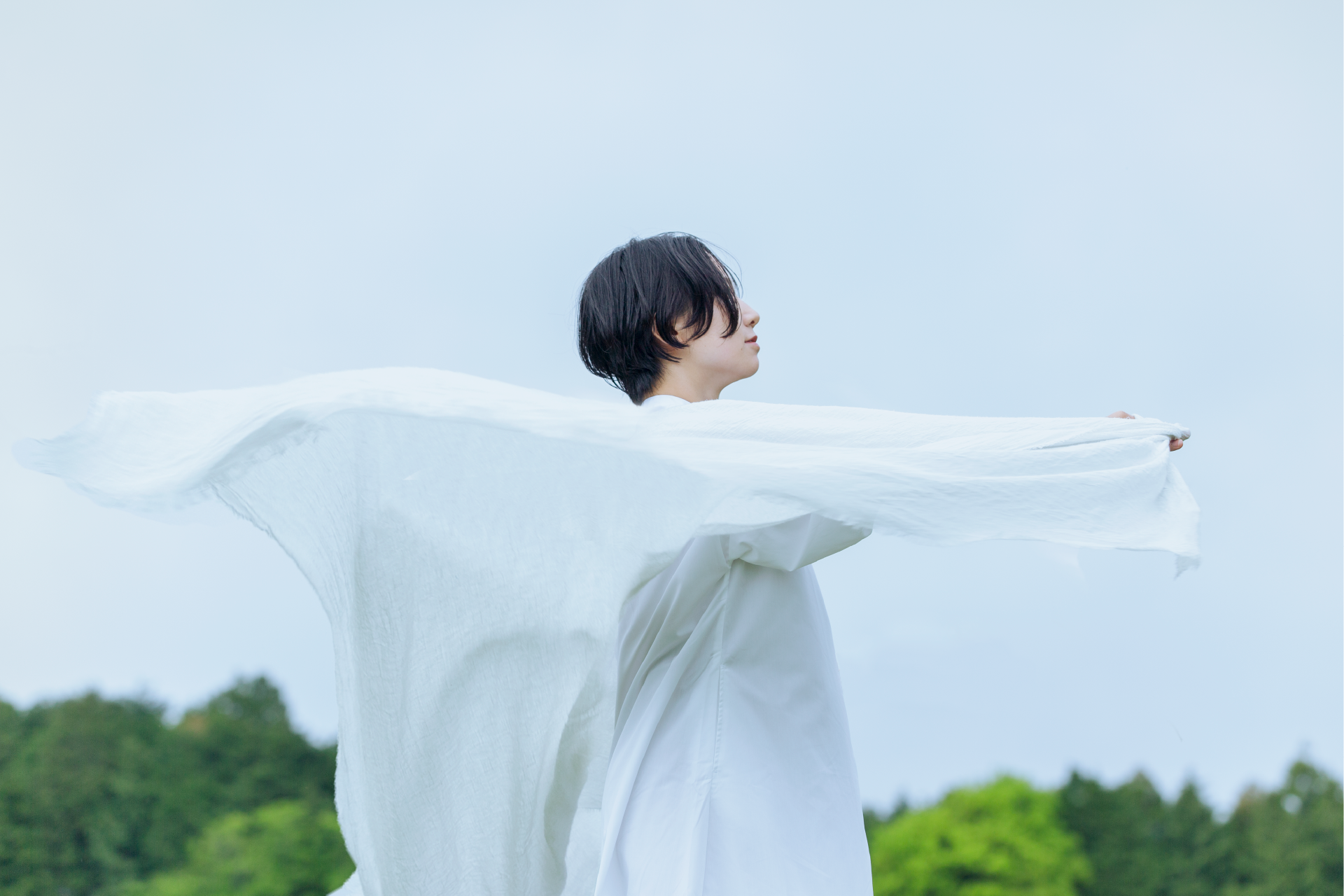 PALELINO main visual