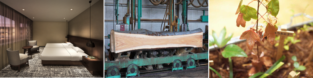 左：ゲストルーム完成予想CG／中央：旧桜台団地既存樹木の製材過程／右：旧桜台団地で採取されたトウカエデの苗木