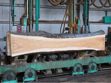 旧桜台団地既存樹木の製材過程