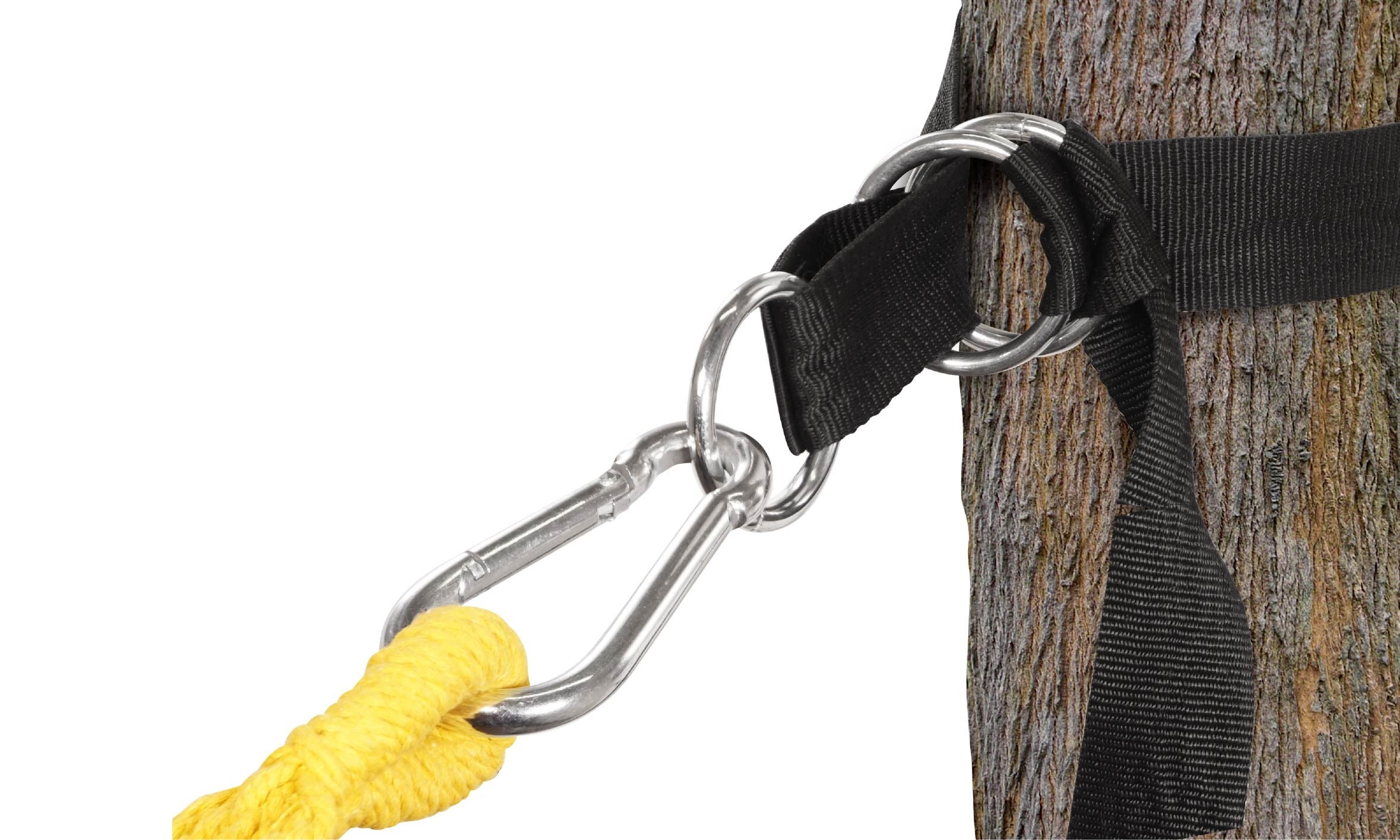 アウトドア 環境に配慮したキャンプへ 設営時のダメージから守る ツリープロテクター が登場 株式会社ハックのプレスリリース