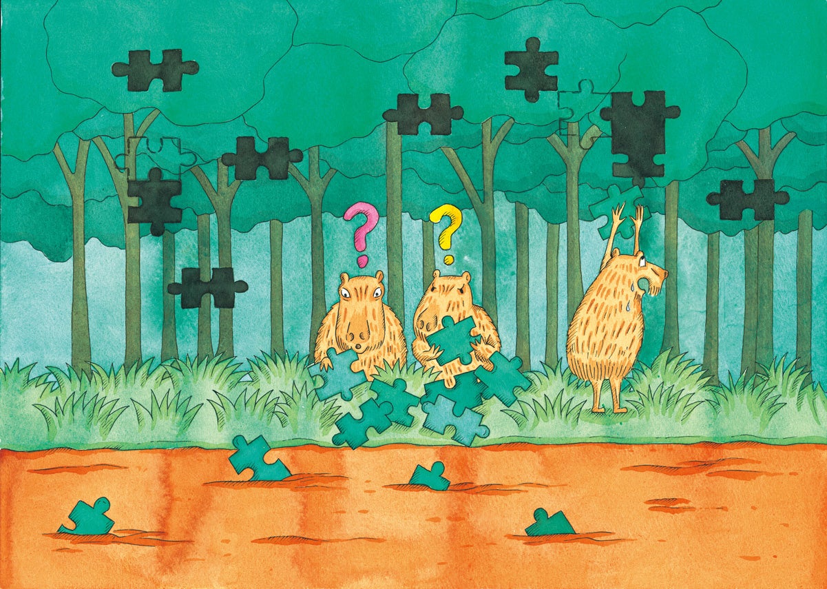 イギリス政府が広大なアマゾンでさえあと５０年もすれば砂漠化してしまうことを警告している