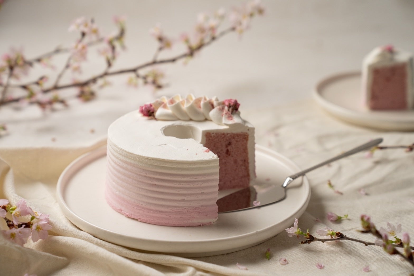 春を彩る桜のシフォンケーキ Sakura 数量限定にて販売中 株式会社sweets Hdのプレスリリース 春を彩る桜のシフォンケーキ Sakura 数量限定にて販売中 株式会社sweets Hdのプレスリリース