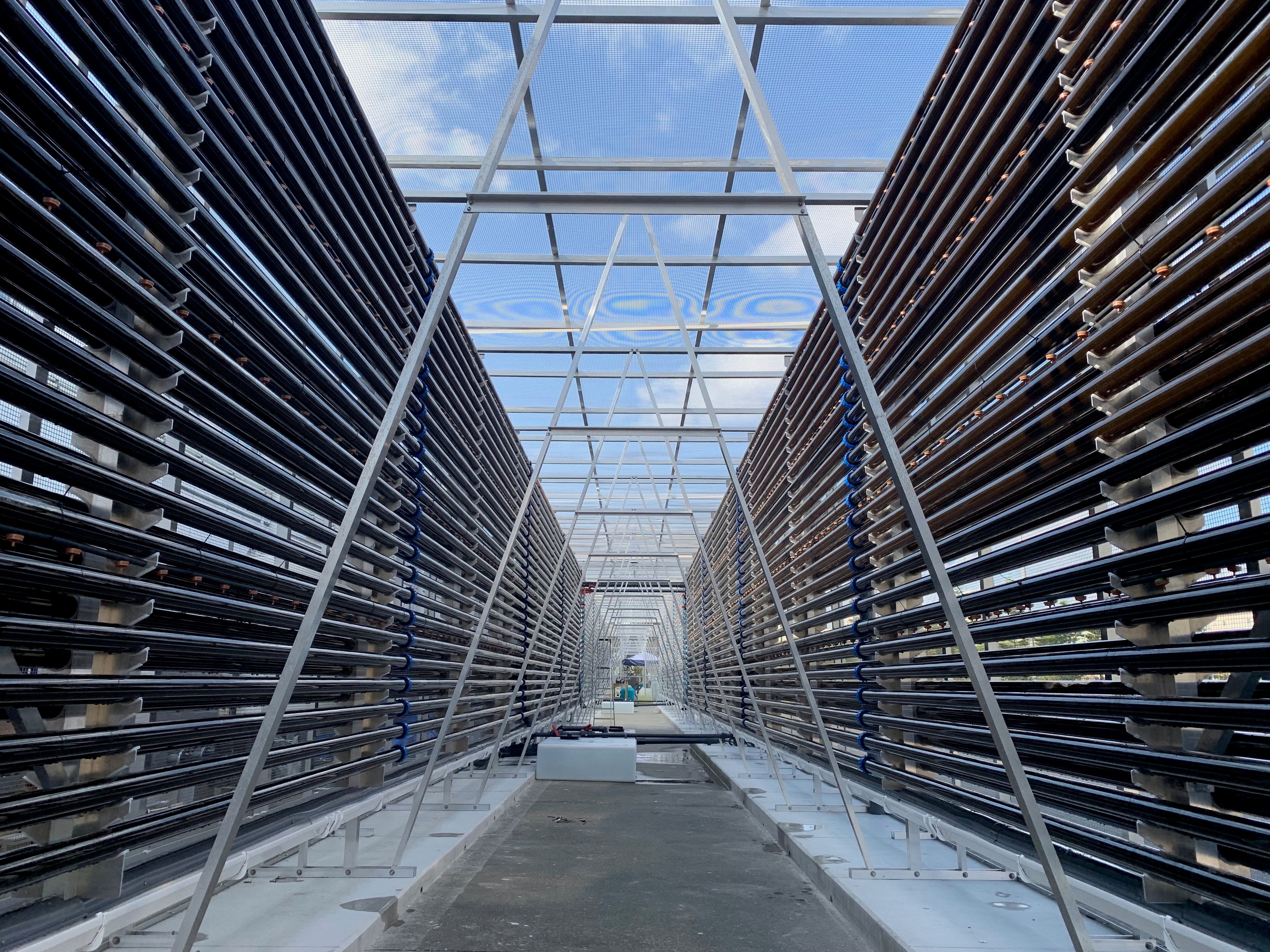 国内最大規模のガラスチューブ型フォトバイオリアクター (沖縄県うるま市OPBioラボ併設）