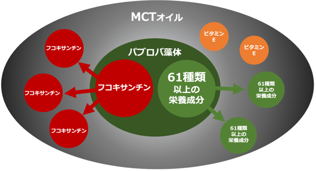 ソフトカプセルイメージ図