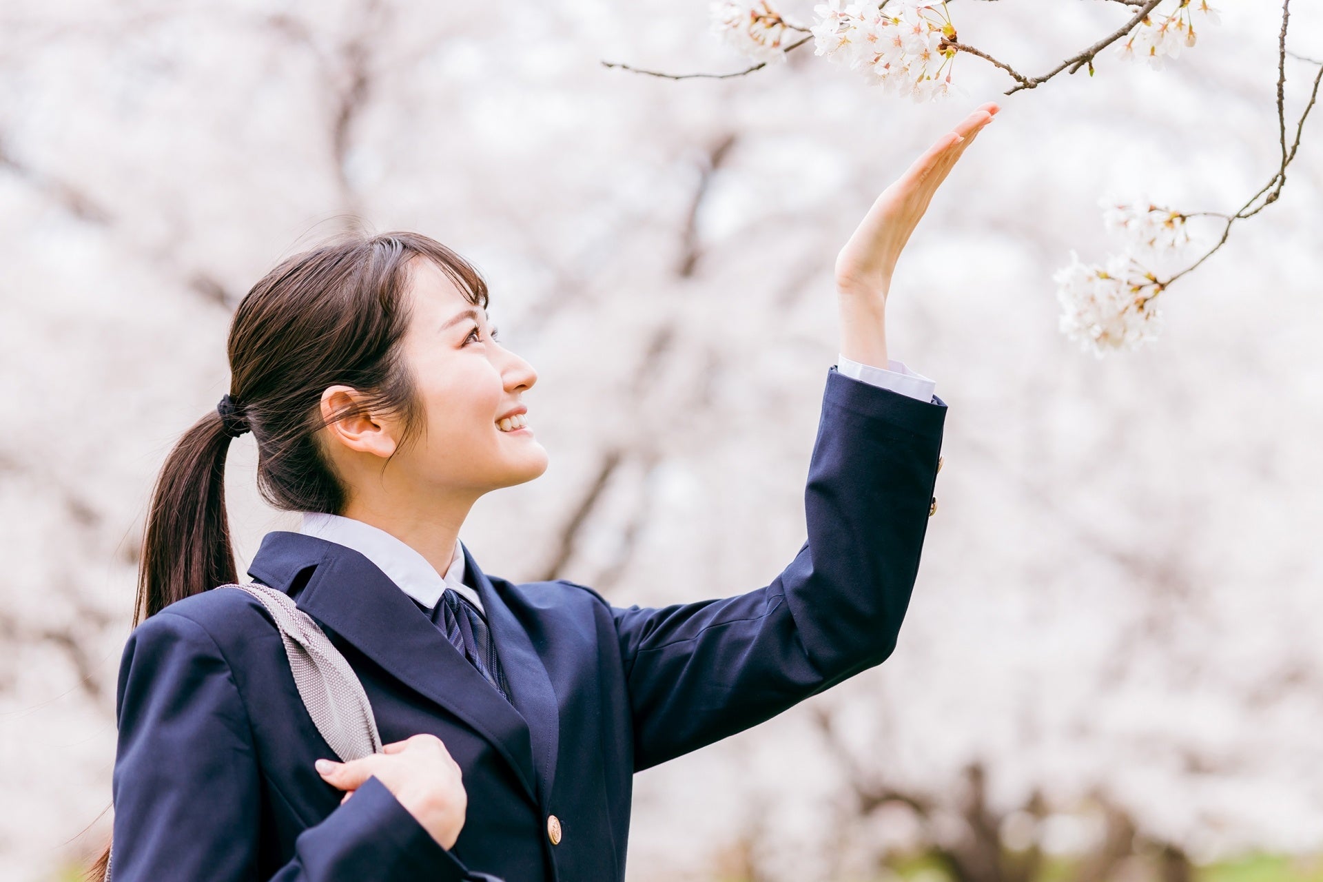 【奨学社】きりん児の会　2年生/3年生 Amazon.co.jp: きりん児くんの幼児けいさん1カ-ド集 : 本