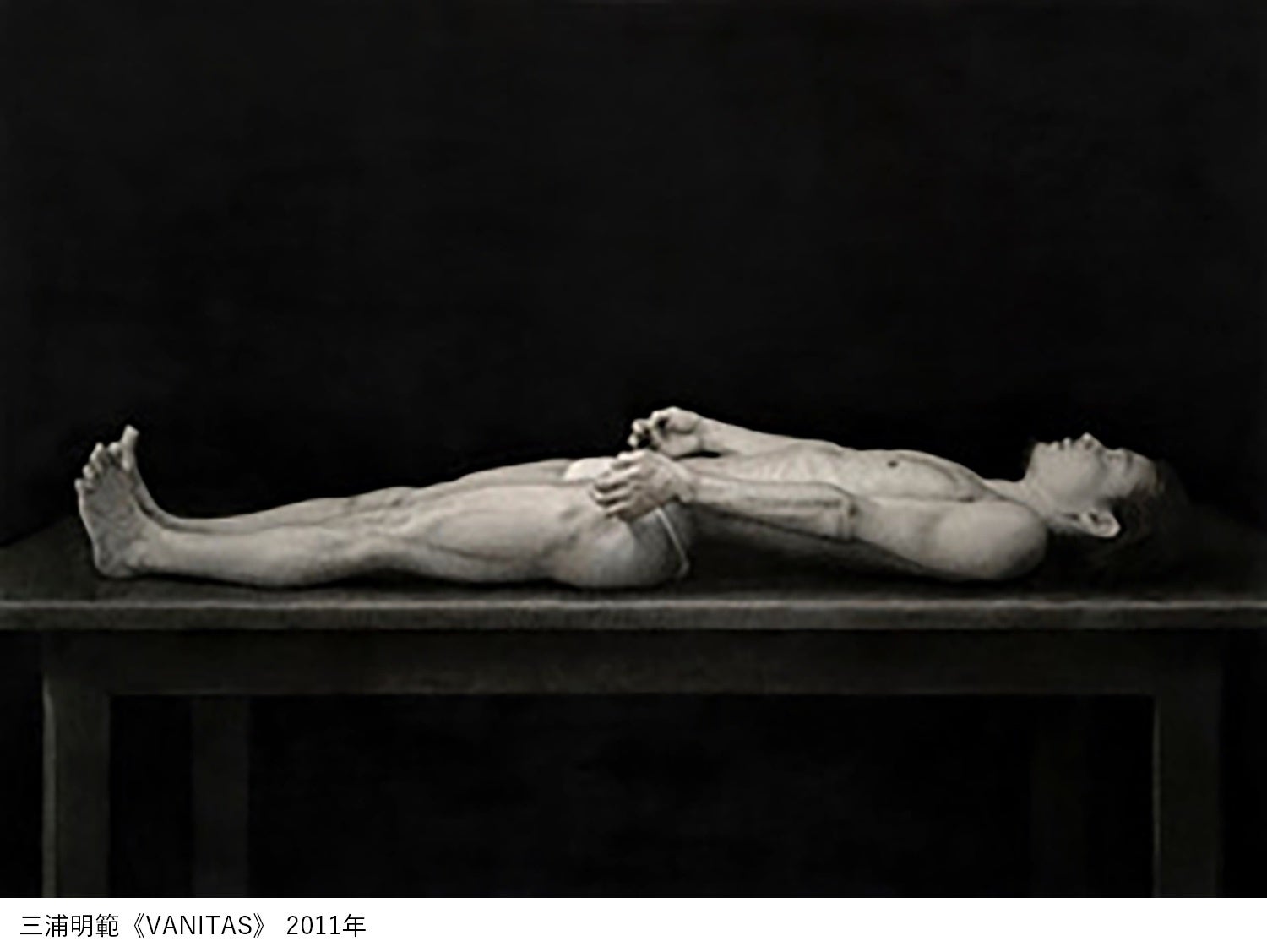 図版4. 三浦明範《VANITAS》　2011年