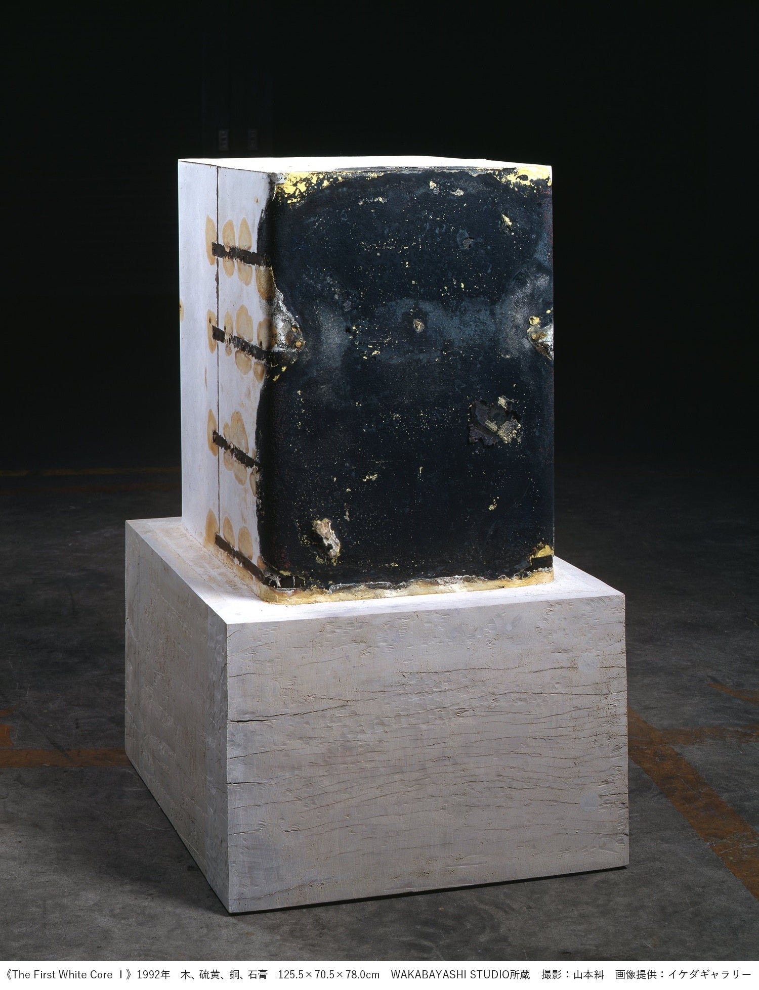 図版7.《The First White Core Ⅰ》1992年　木、硫黄、銅、石膏　125.5×70.5×78.0cm　WAKABAYASHI STUDIO所蔵　撮影：山本糾　画像提供：イケダギャラリー