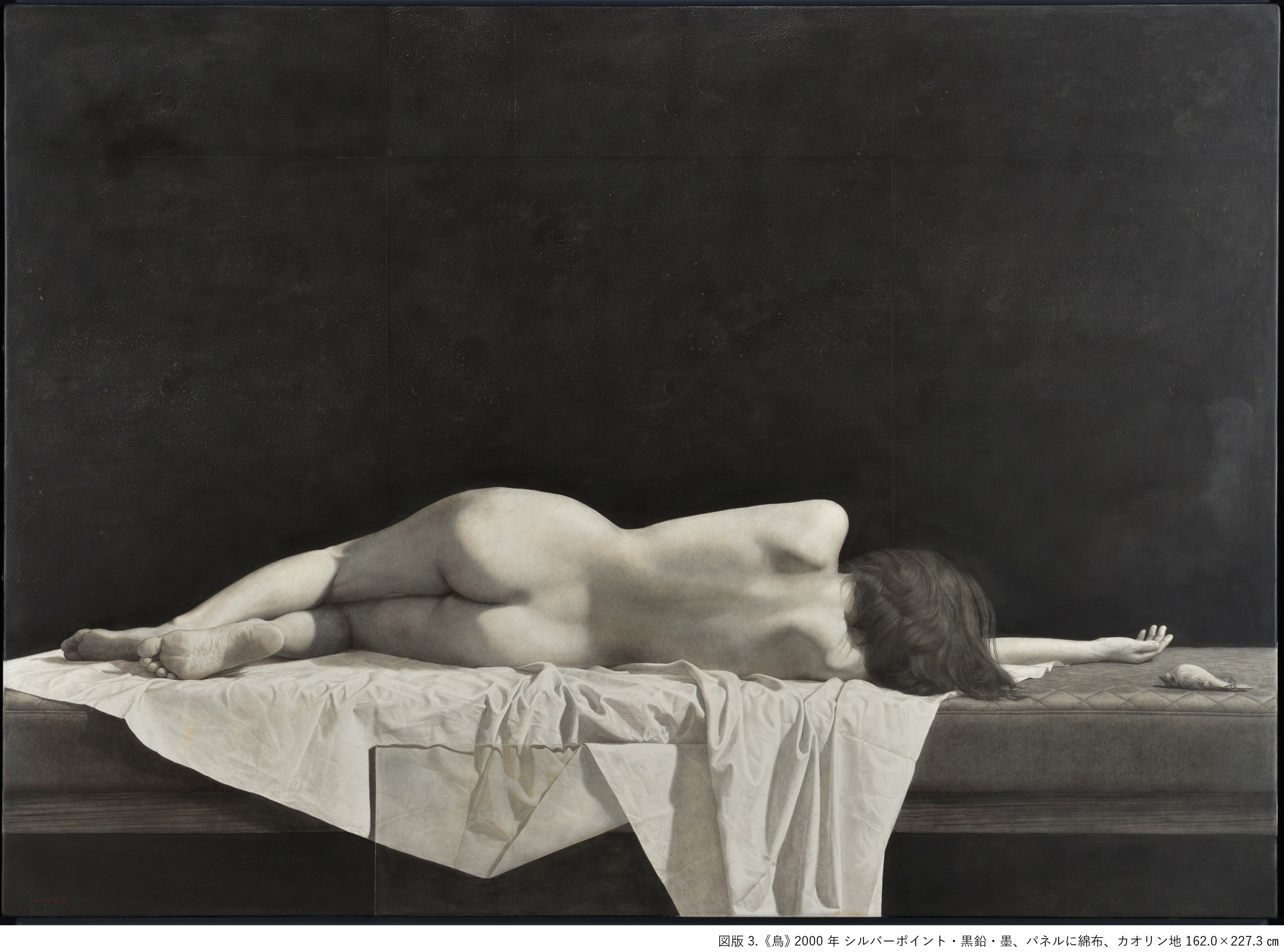 図版3.《鳥》 2000年 シルバーポイント・黒鉛・墨、パネルに綿布、カオリン地 162.0×227.3㎝