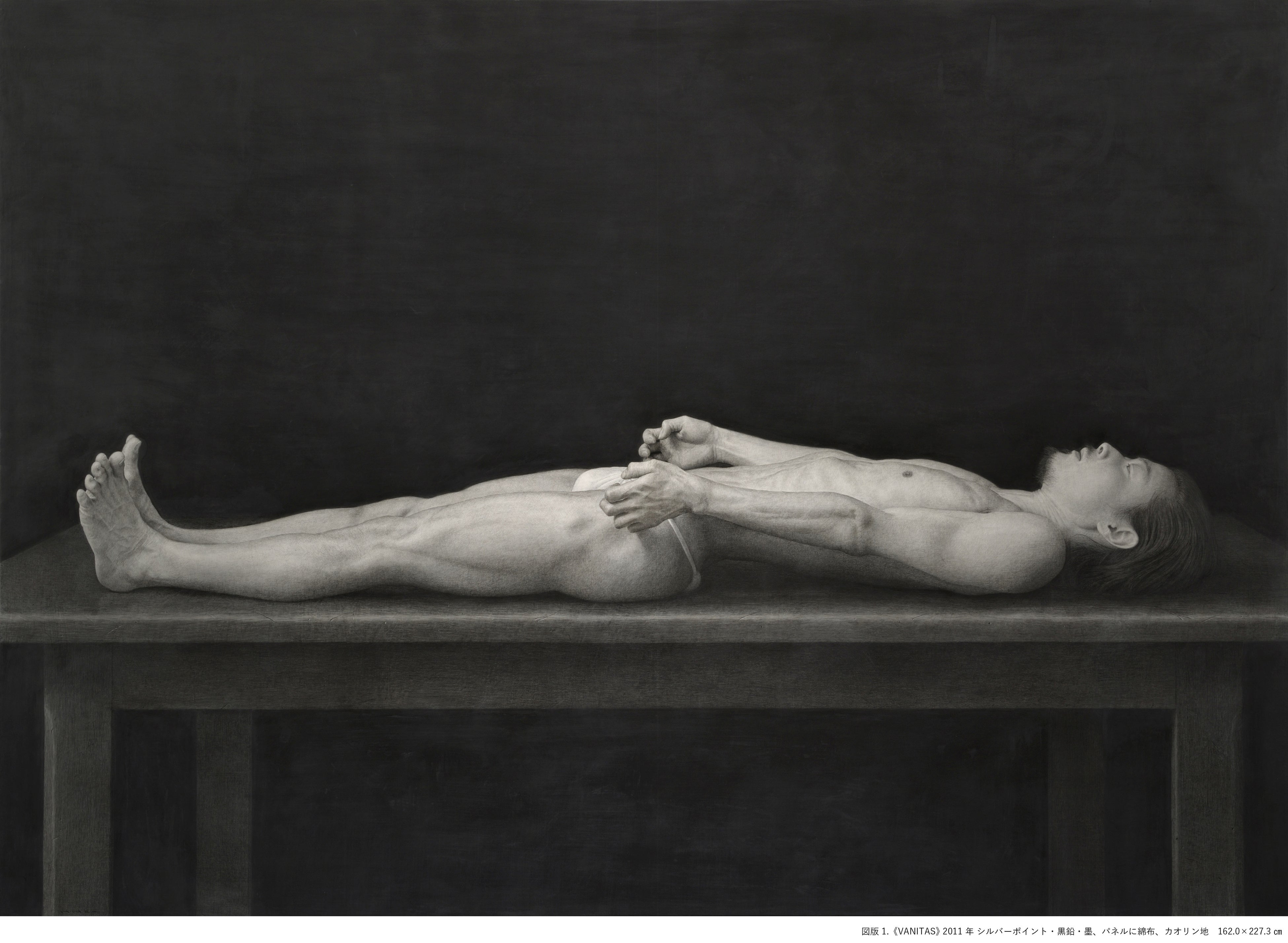 図版1.《VANITAS》 2011年 シルバーポイント・黒鉛・墨、パネルに綿布、カオリン地　162.0×227.3㎝