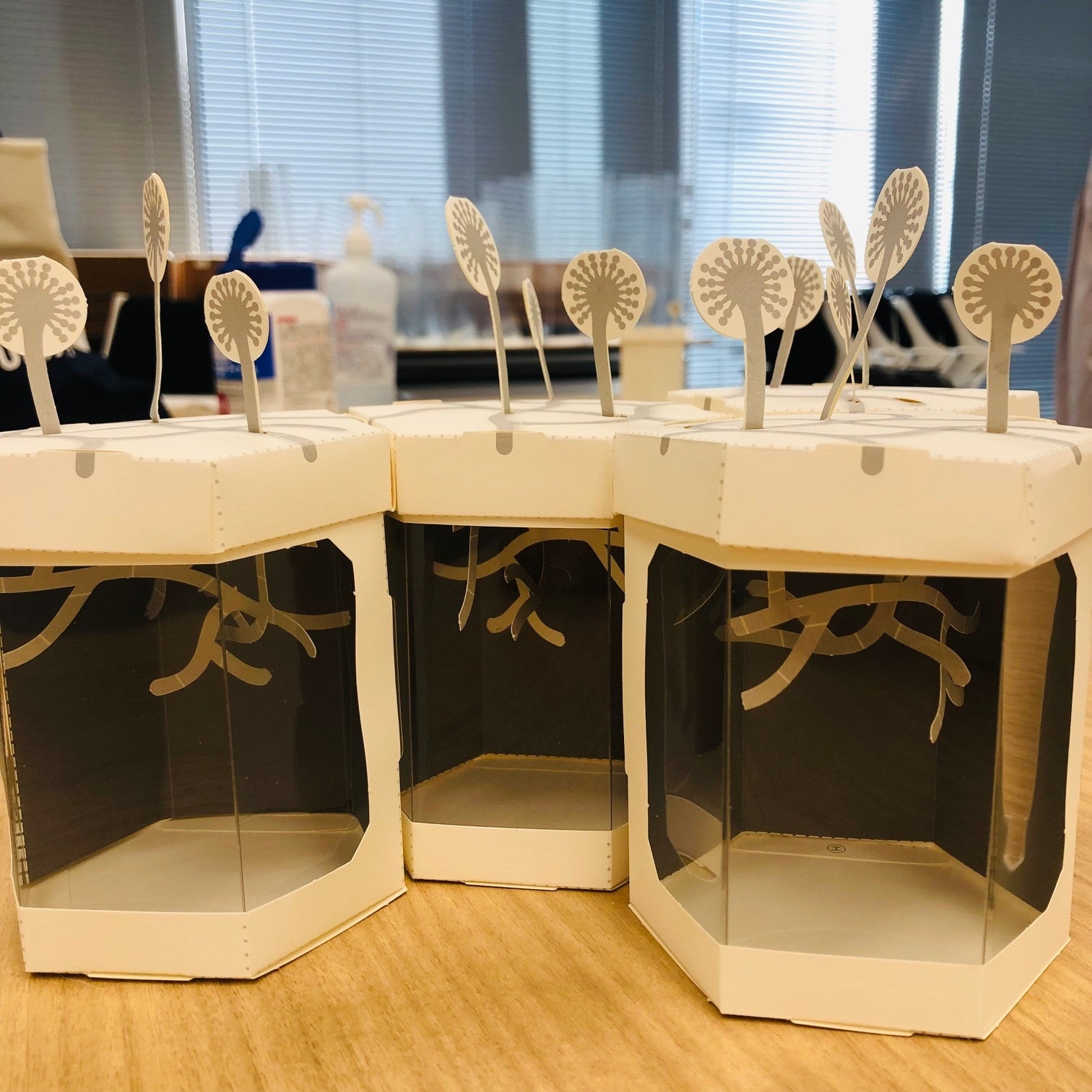 ２日目：コウジカビペーパーモデル