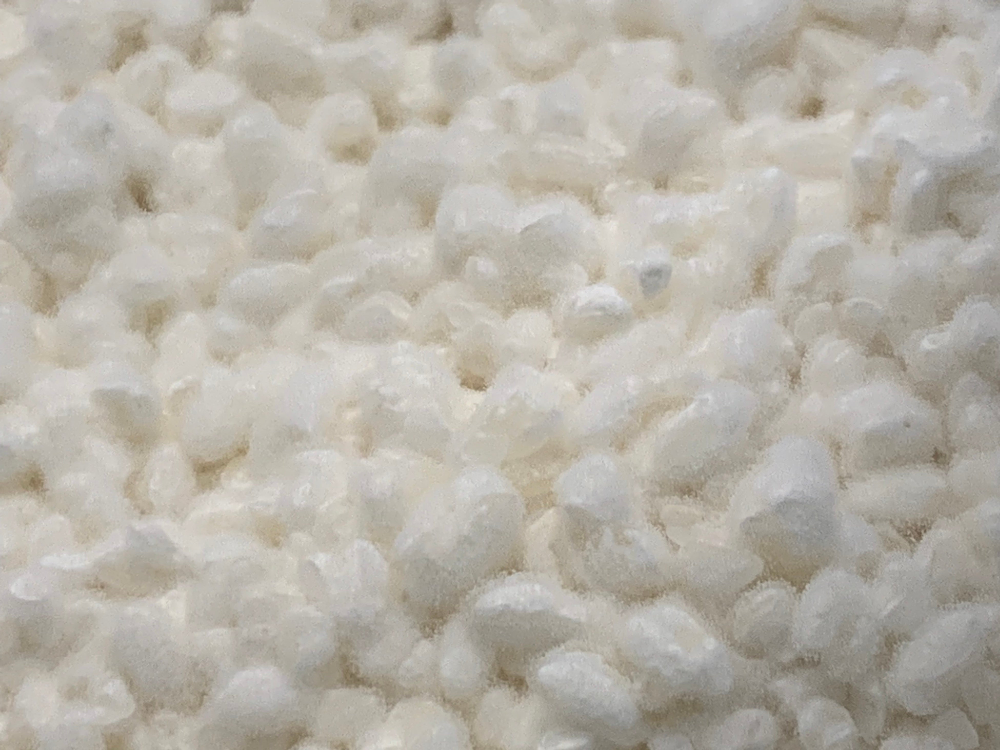 ３日目：出来上がったこうじ