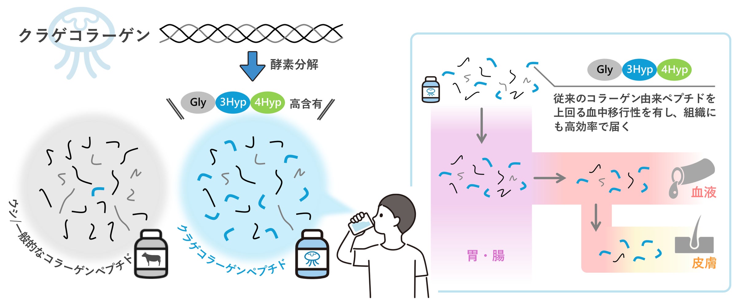歯科医師等の手で、顔の歪みと顎の不調にアプローチ。「メディカル林メソッド™」公式ページを公開