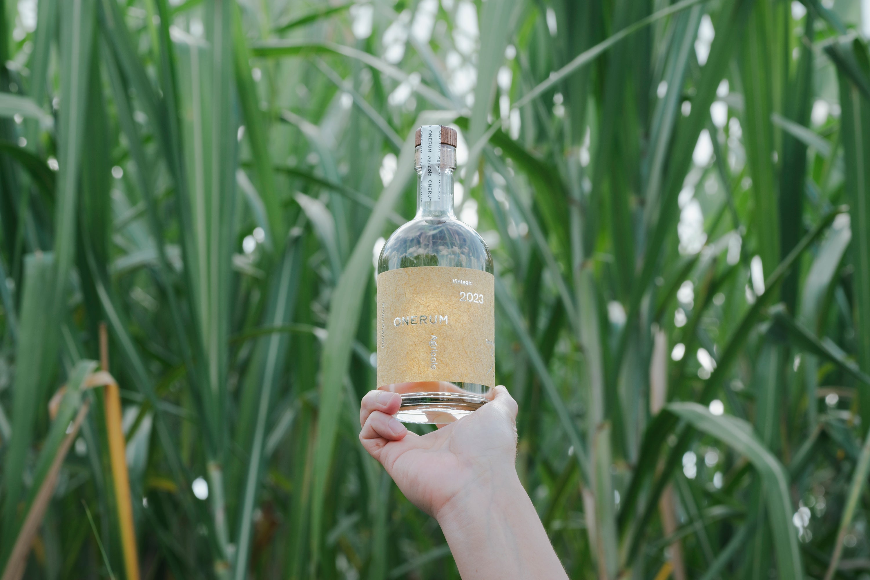 さとうきびの栽培研究からスタートしたアグリコールラム『ONERUM