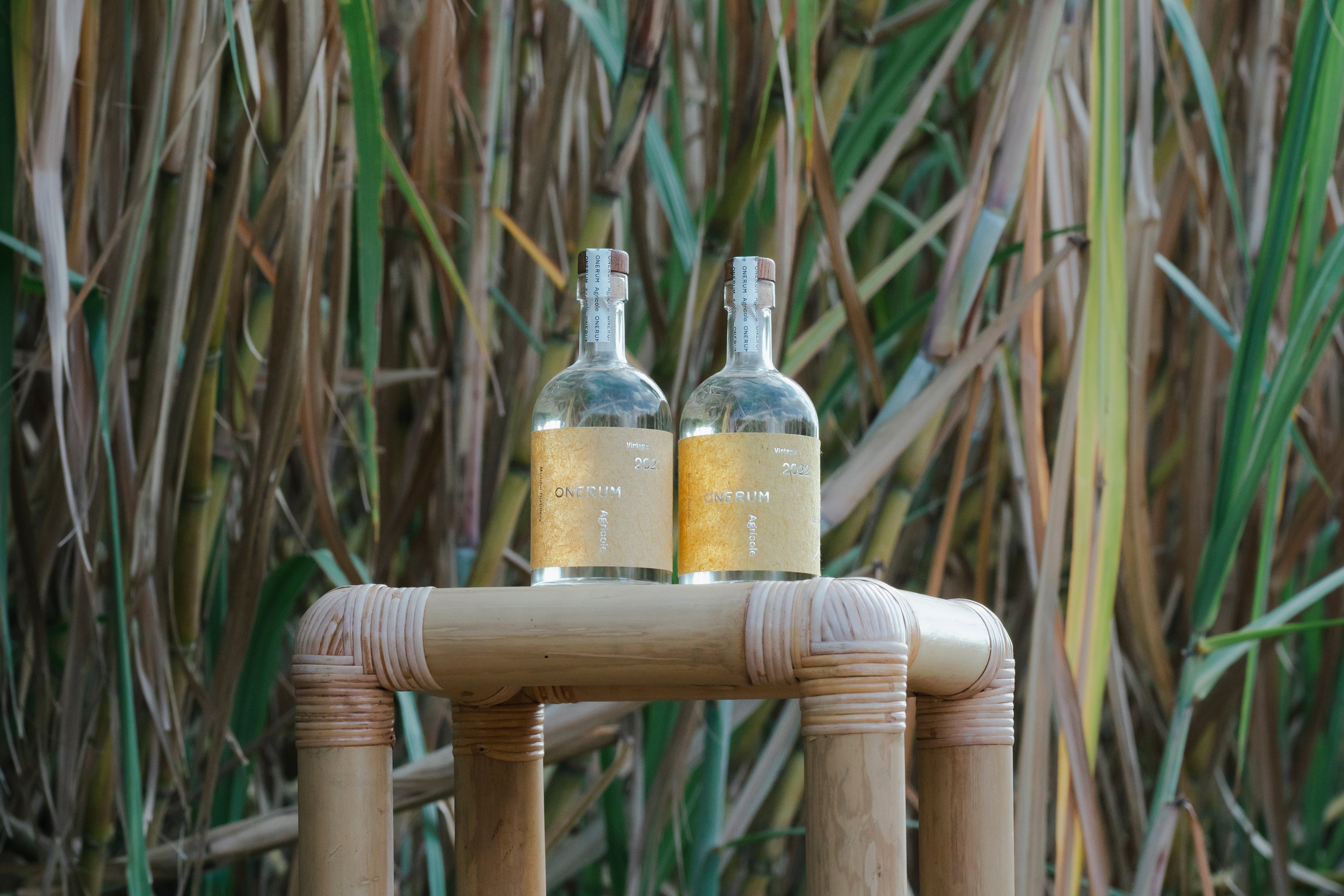 さとうきびの栽培研究からスタートしたアグリコールラム『ONERUM