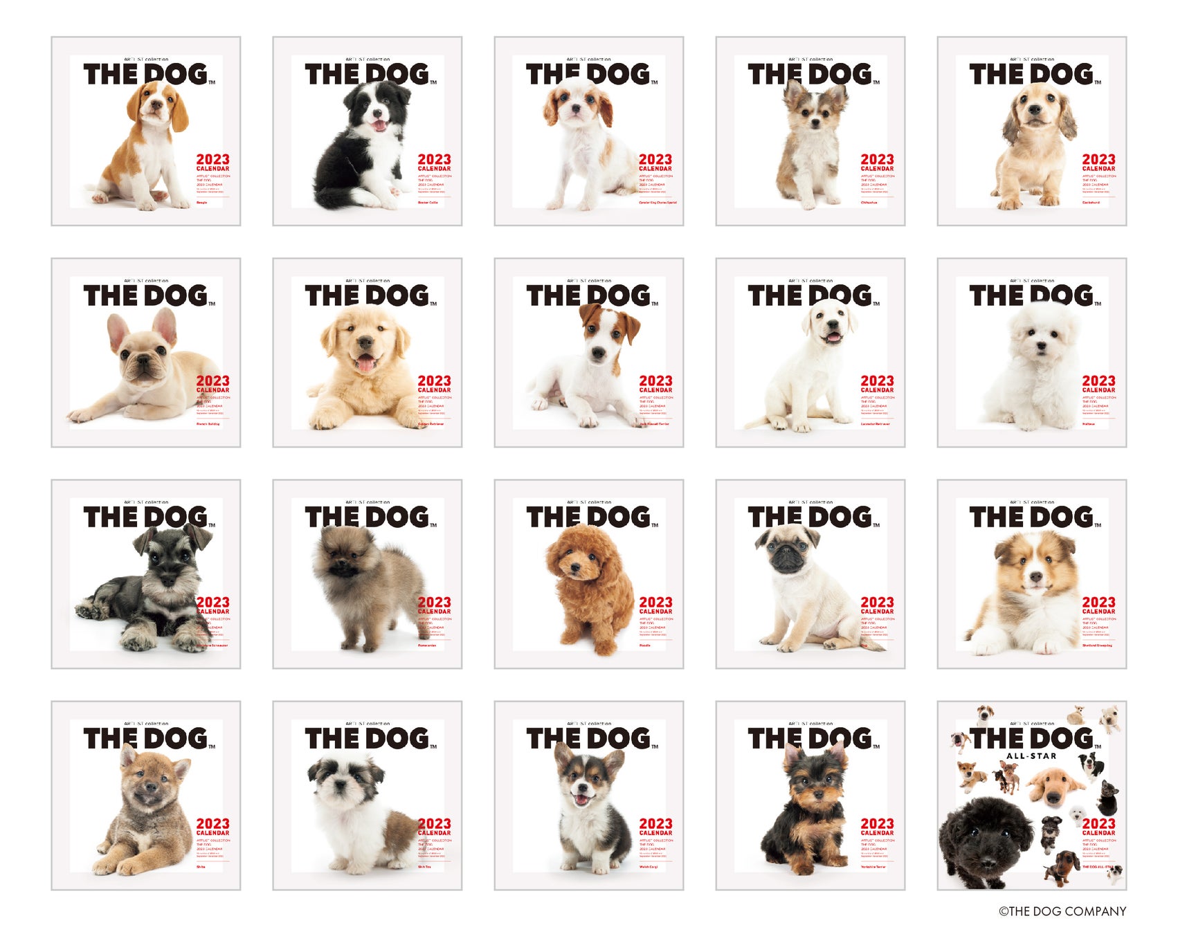 ロングセラー商品 The Dog 23年犬種別カレンダー 公式webストア The Dog Store にて8 9予約受付開始 The Dog Companyのプレスリリース ロングセラー商品 The Dog 23年犬種別カレンダー 公式webストア The Dog Store にて8 9予約受付開始 The Dog Companyのプレスリリース
