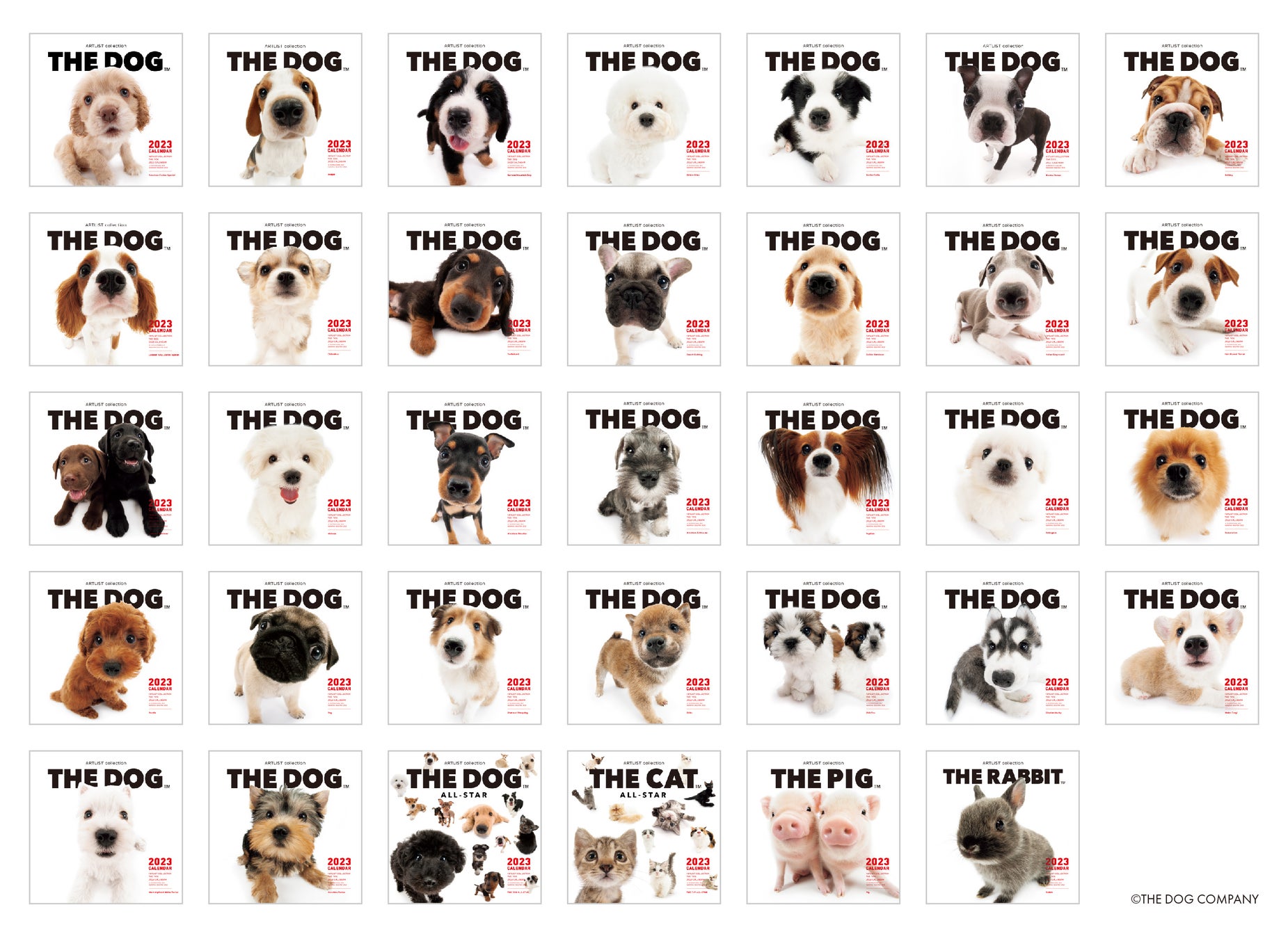 ロングセラー商品 The Dog 23年犬種別カレンダー 公式webストア The Dog Store にて8 9予約受付開始 The Dog Companyのプレスリリース ロングセラー商品 The Dog 23年犬種別カレンダー 公式webストア The Dog Store にて8 9予約受付開始 The Dog Companyのプレスリリース