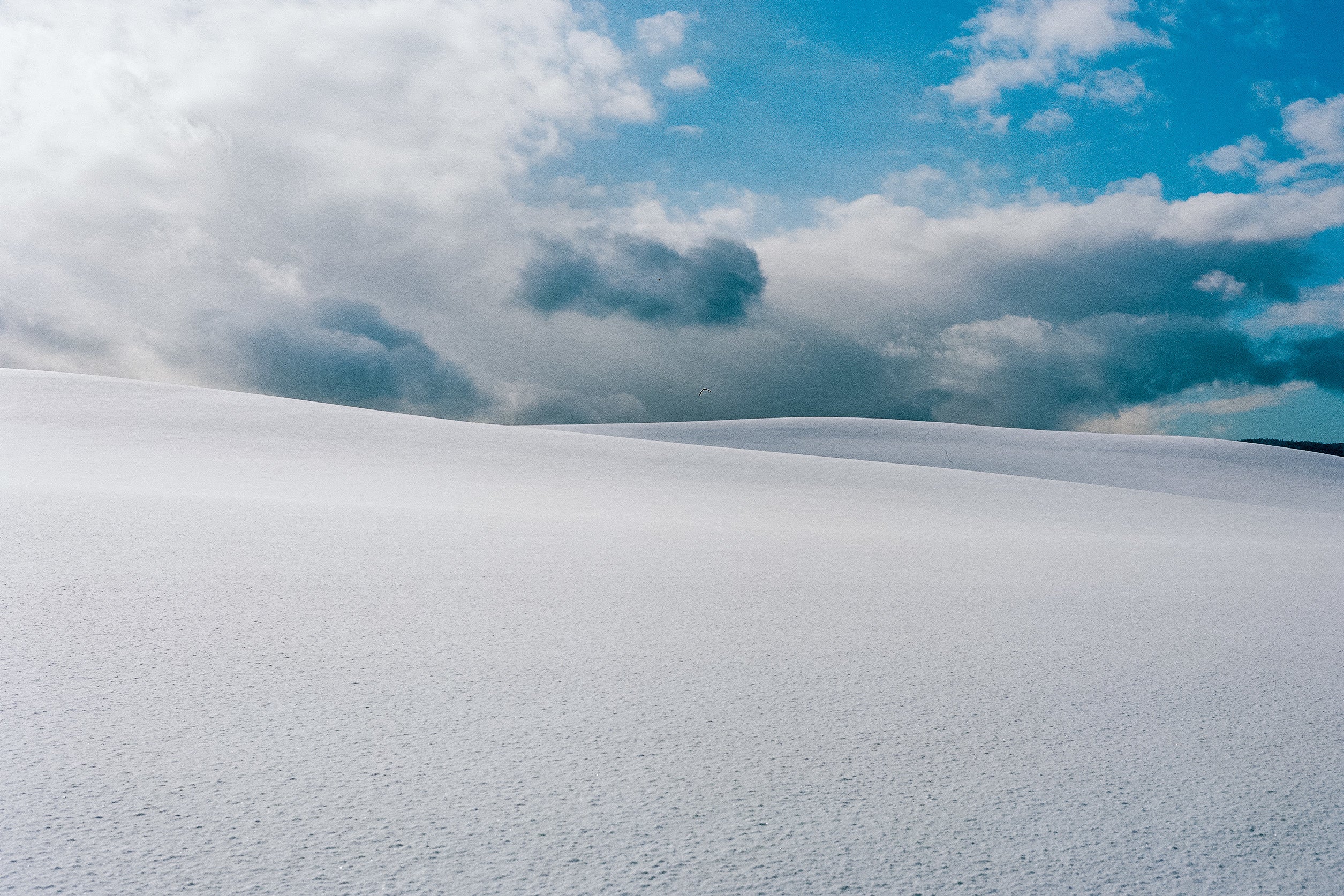 「Snow2」 ©Tomokazu Yamada