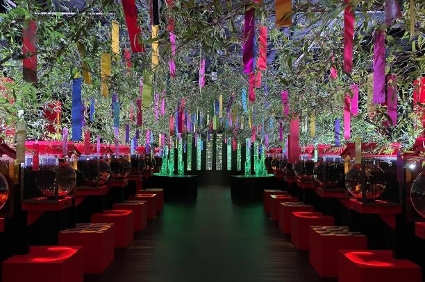 竹林七賢エリア×七夕