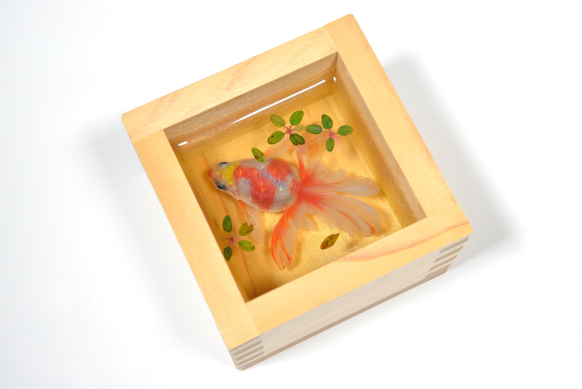 金魚酒 銘名 鈴夏 W8.5×D8.5×H5.5cm