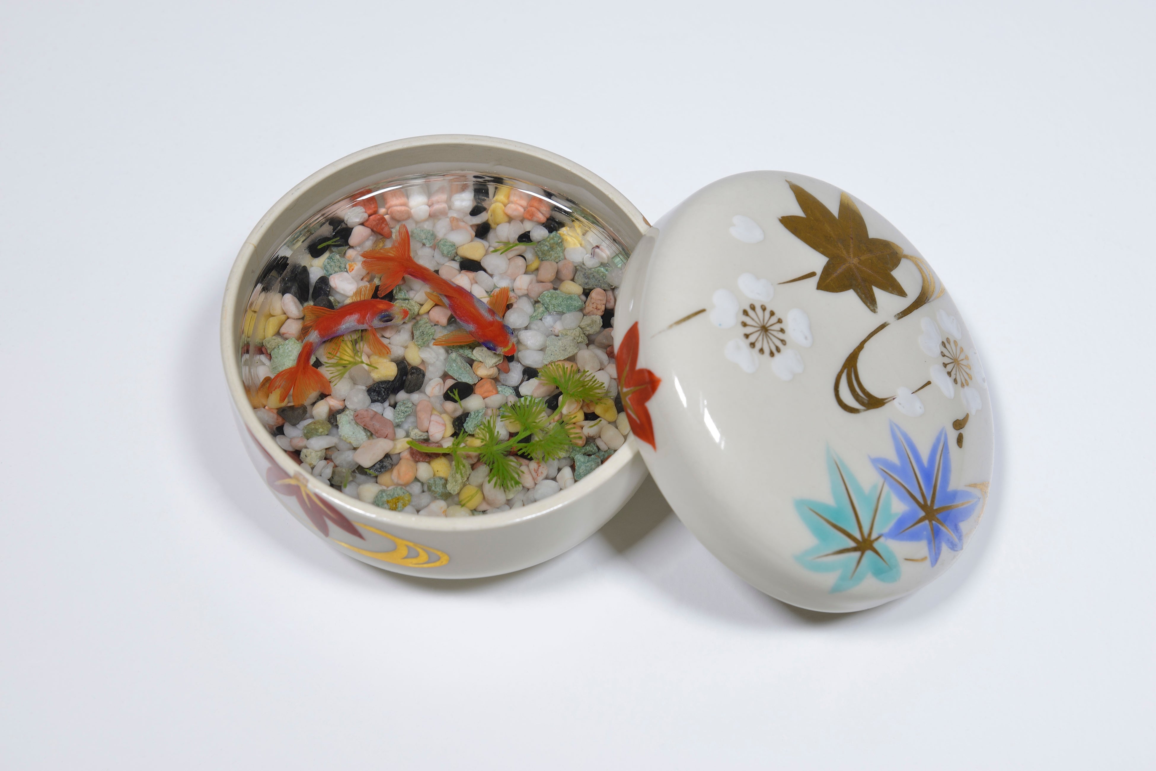 五色 直径9.5×H6.7cm