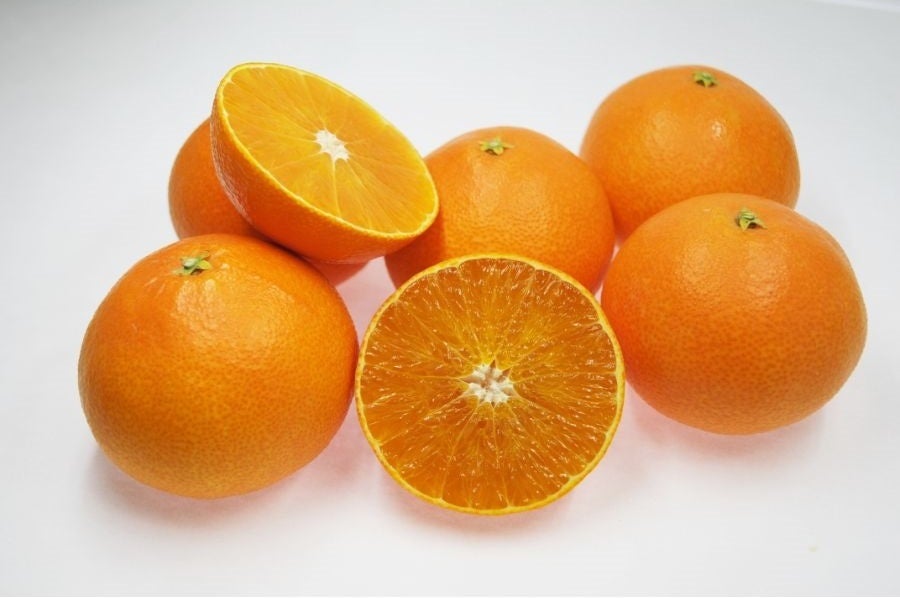 ※画像はイメージです