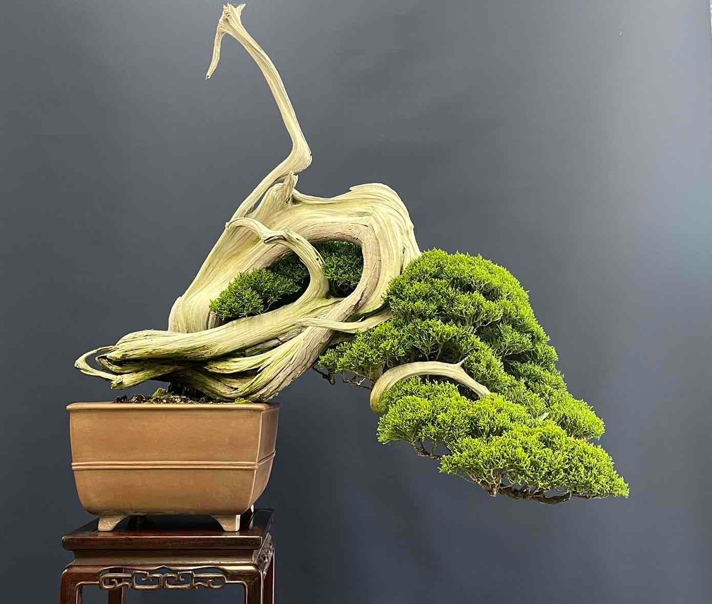 商品イメージ(※実際の商品とは異なります)