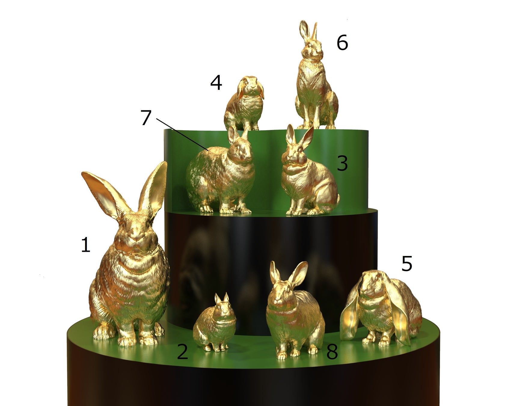 1.フレミッシュジャイアント  2.ネザーランドドワーフ  3.ミニレッキス 4.ホーランドロップ 5.イングリッシュロップ 6.ニホンノウサギ 7.アマミノクロウサギ 8.日本白色種