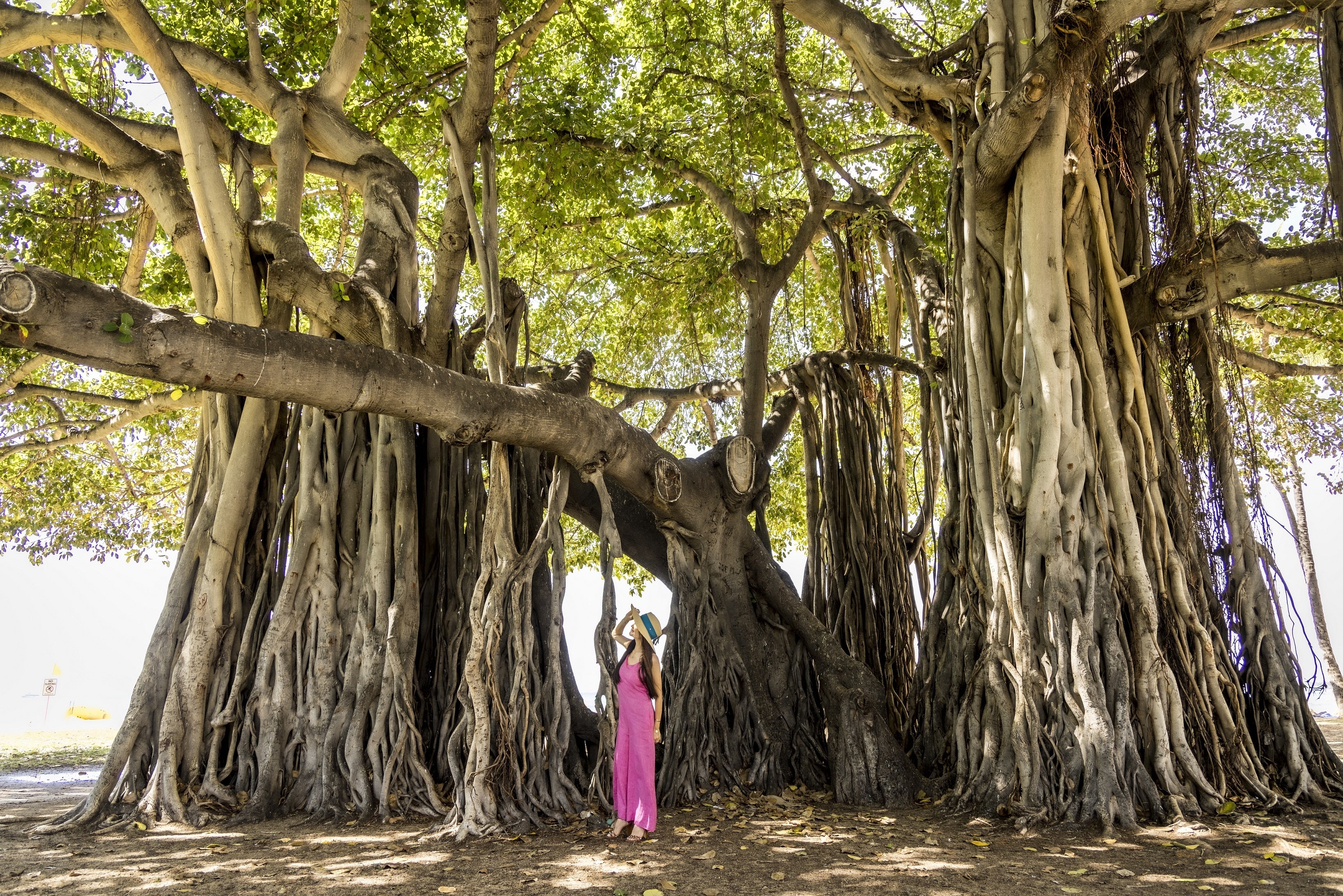 「Forgive and forget　許して忘れる」  アンハッピーな出来事も 根に持たず、過去のことは水に流しましょう。