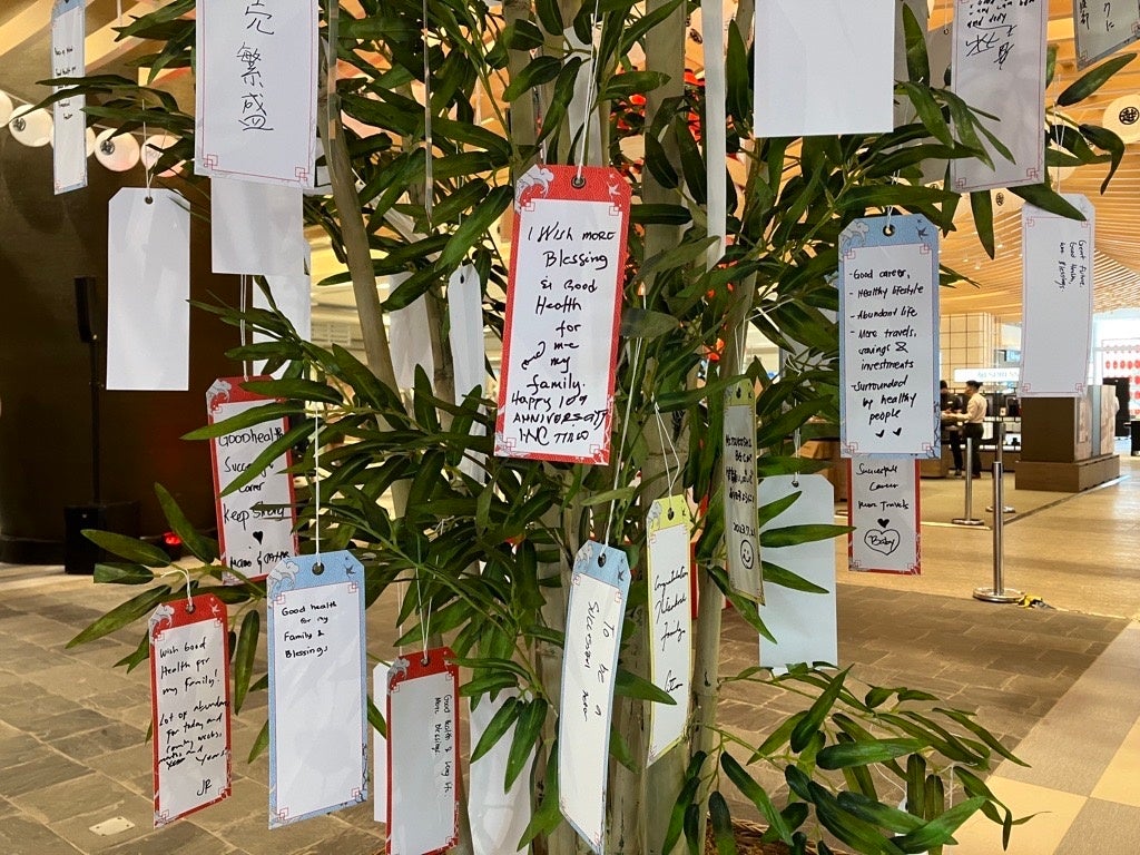 願いを込めた短冊をつるした笹の葉で七夕まつりを演出