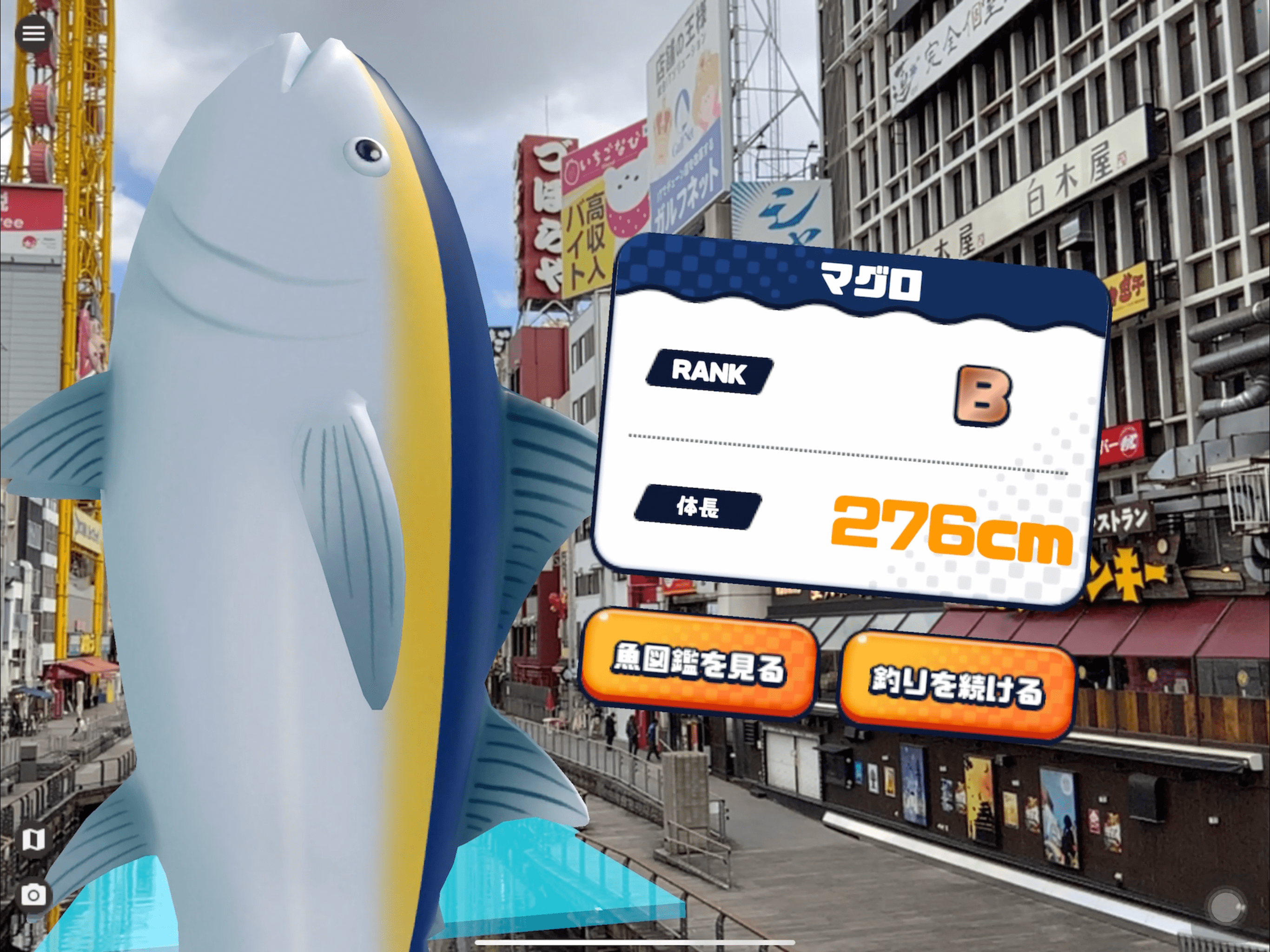 ※魚はコレクションも可能