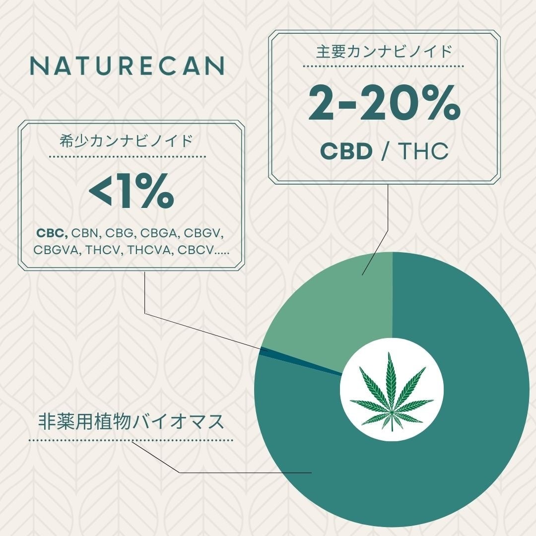Naturecan史上最高濃度のCBNオイルが登場！11月15日(土)より「40％CBN