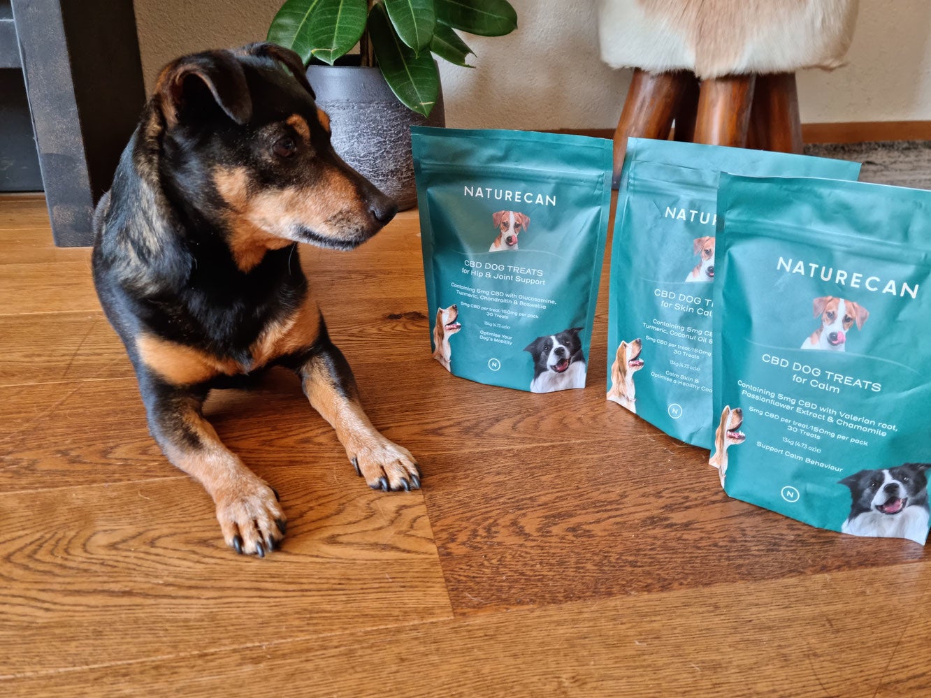 獣医師監修 Cbdオイル入り 犬用cbdおやつサプリ が新発売 お悩み別のおやつで愛犬の健康をケアしよう Naturecan株式会社のプレスリリース 獣医師監修 Cbdオイル入り 犬用cbdおやつサプリ が新発売 お悩み別のおやつで愛犬の健康をケアしよう Naturecan株式会社のプレスリリース