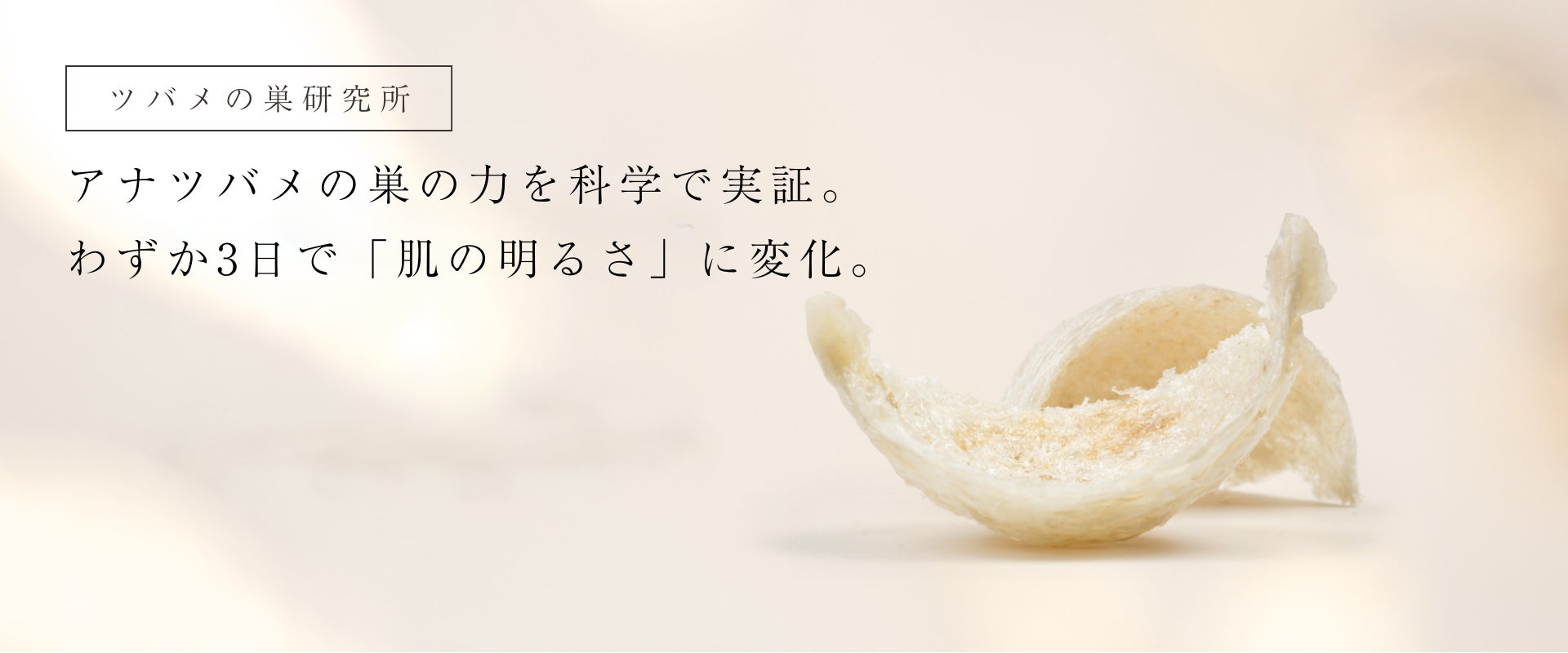 ツバメの巣「BI-SU」天然アナツバメの巣の力を科学で実証。BI-SU ツバメの巣「BI-SU」天然アナツバメの巣の力を科学で実証。BI-SU