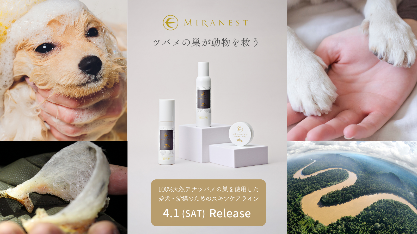 MIRANEST 犬用シャンプーとローションセット ミラネストシャンプー FOR