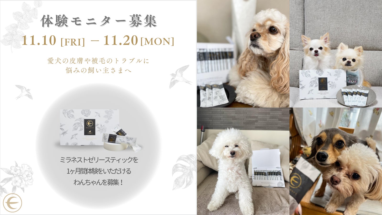 ツバメの巣のペットケアブランド「MIRANEST」がモニター募集開始 ツバメの巣のペットケアブランド「MIRANEST」がモニター募集開始