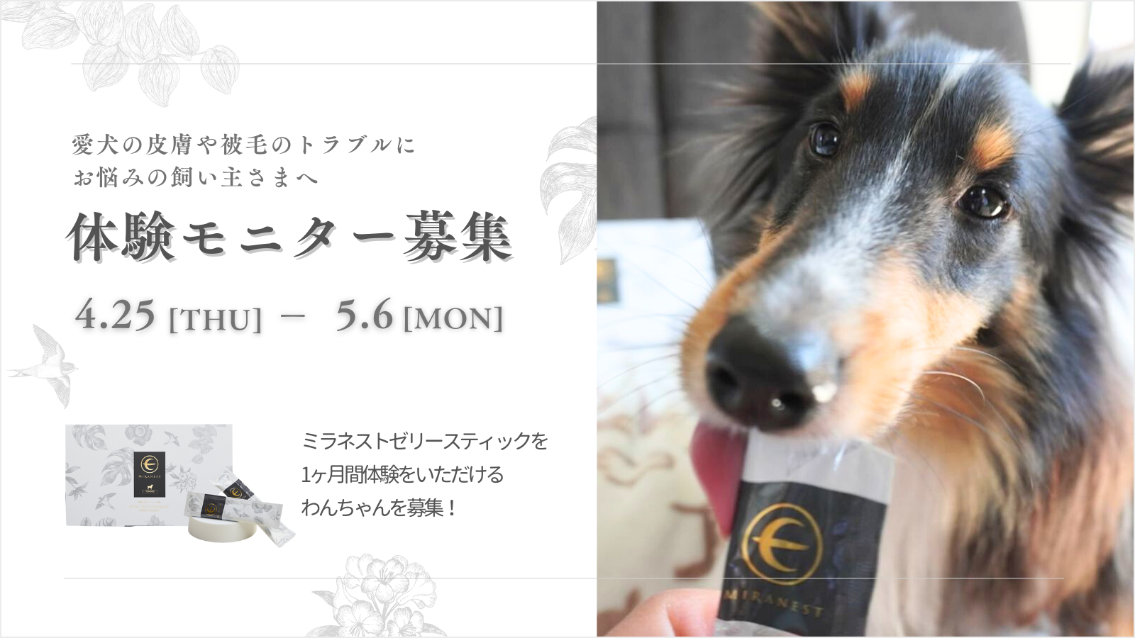 ミラネストゼリースティック FOR DOG 30本入り ミラネスト ゼリースティック 30本 ミラネストゼリースティック