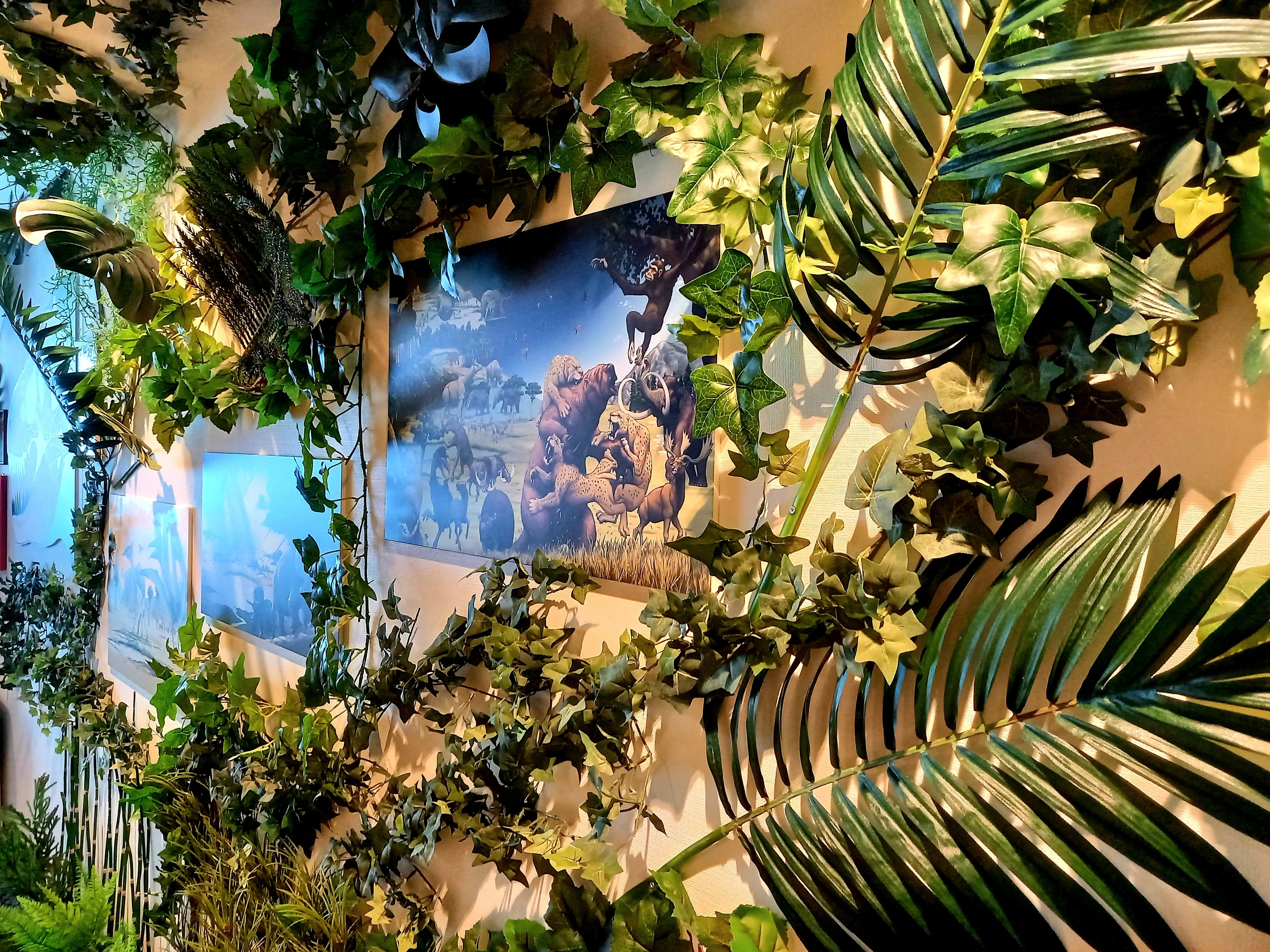 ▲恐竜の時代へタイムスリップ！