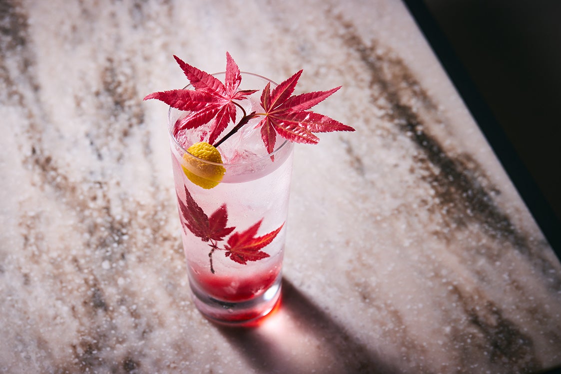 京都ジントニック 紅葉