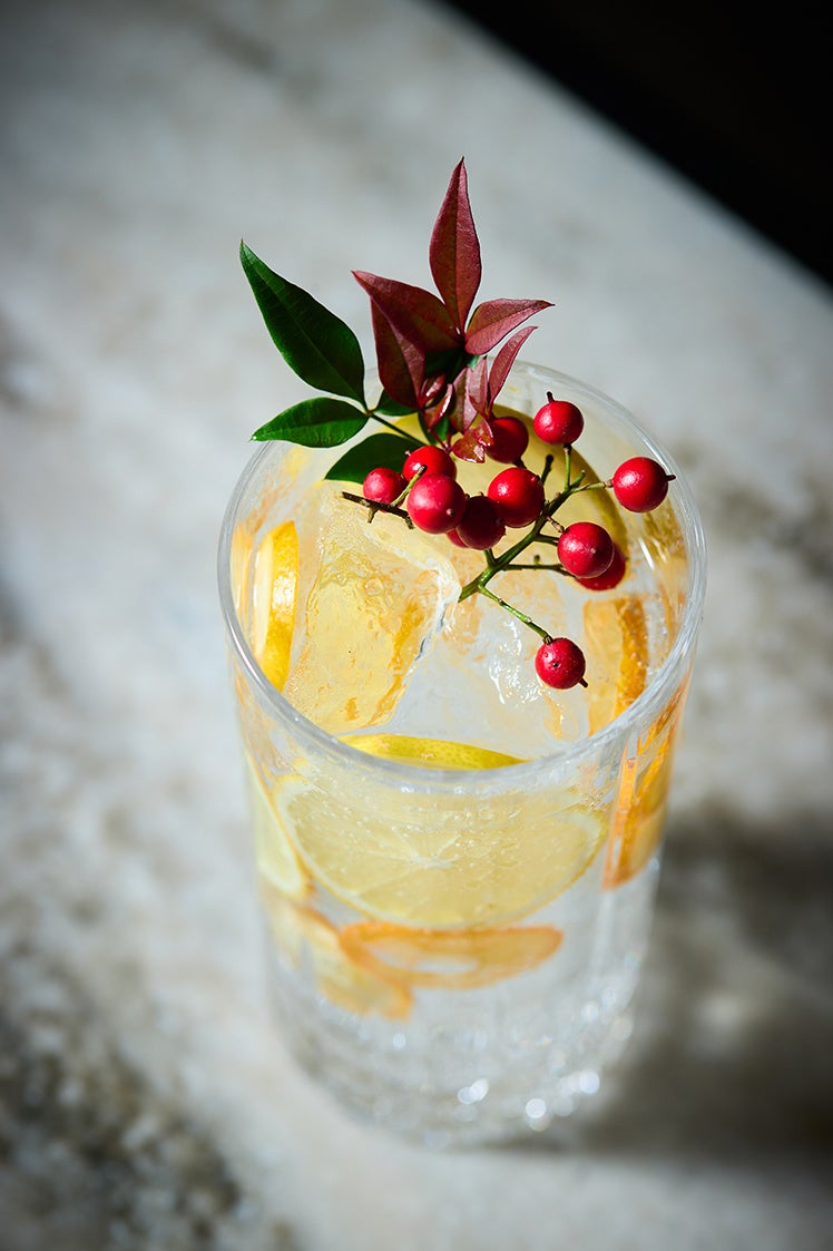 季の美 ジントニック-冬-