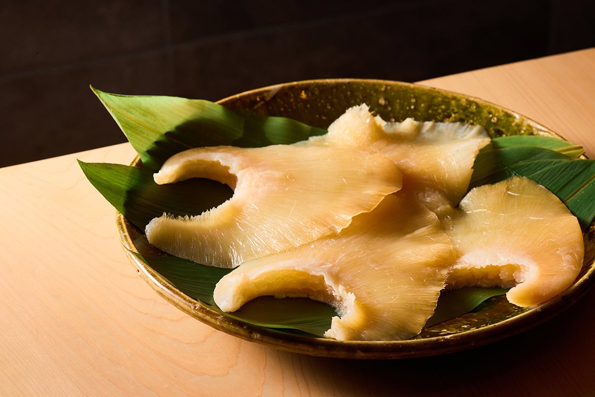 ふかひれイメージ