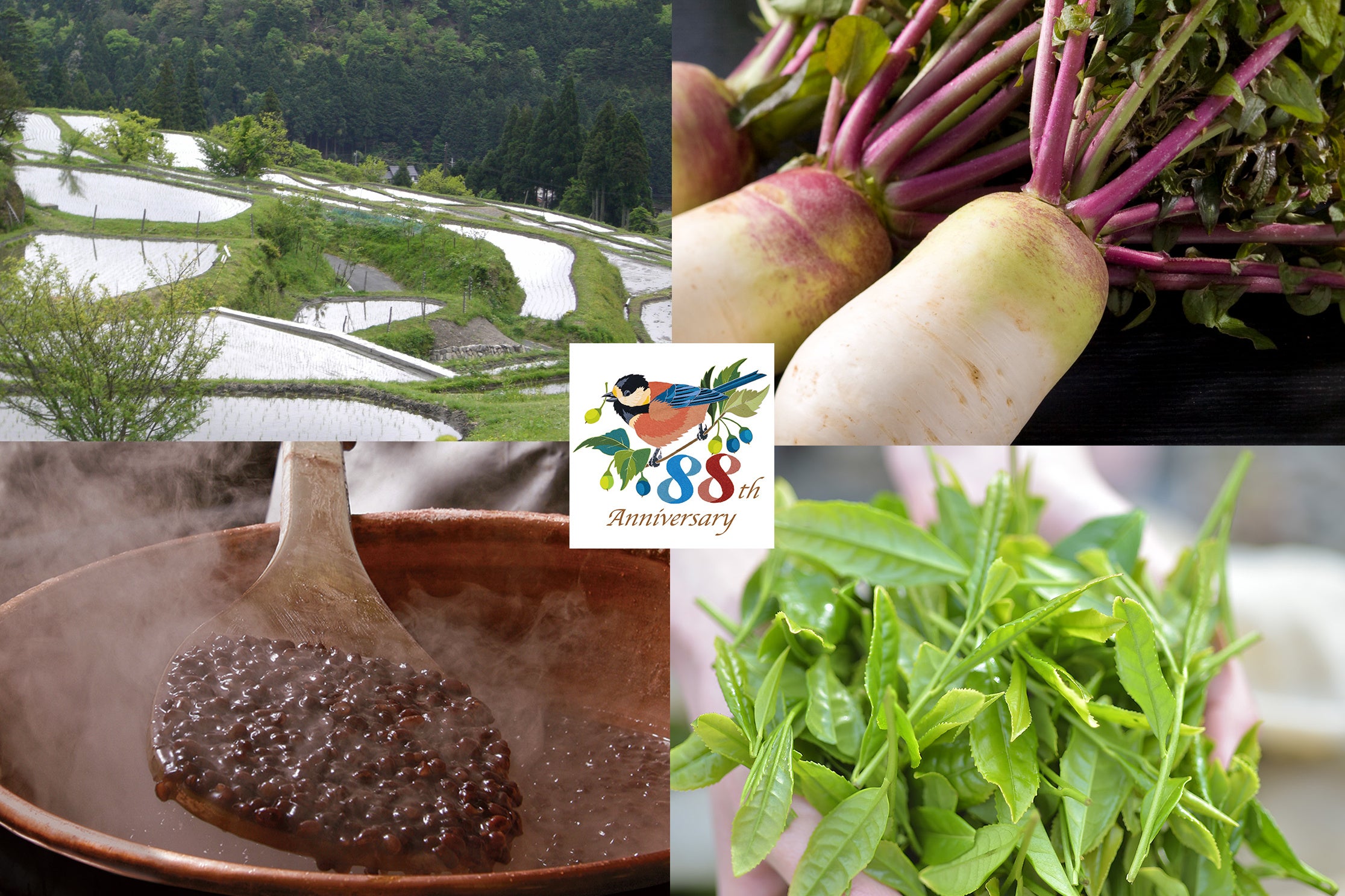 食材イメージ（大根・茶葉画像：滋賀県提供）