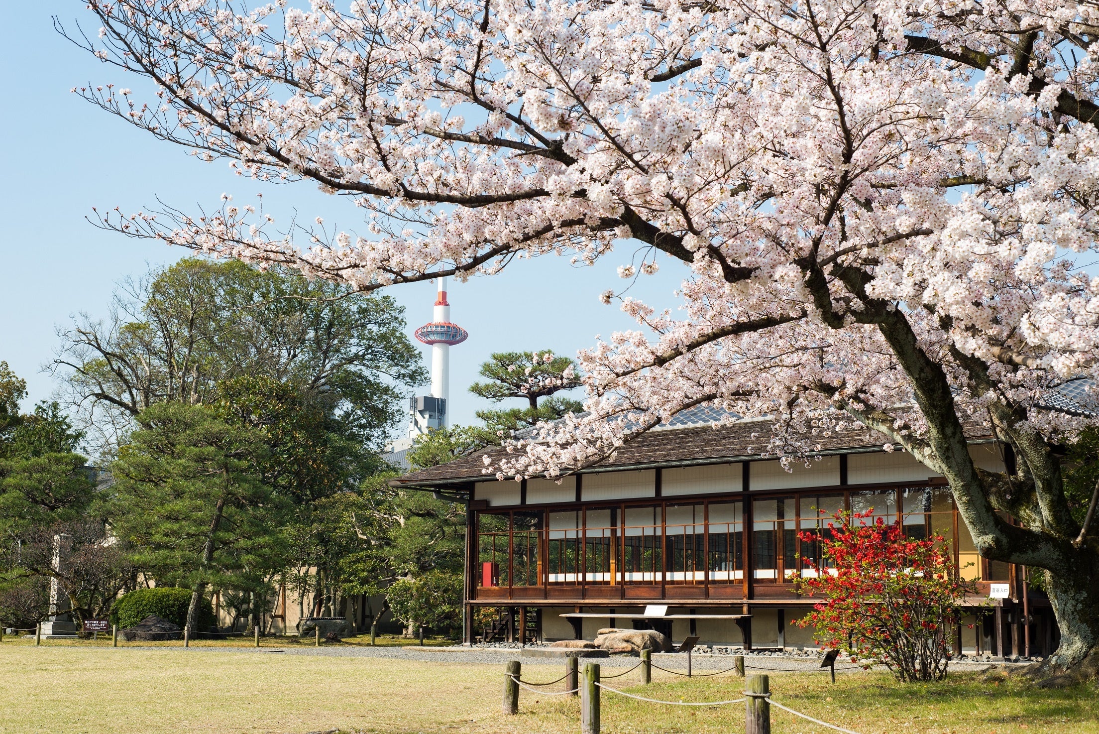 【希少　限定本】東本願寺 : 明治造営百年 東本願寺―明治造営百年 (1978年) |本 | 通販 | Amazon