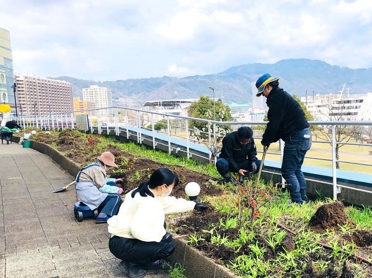 山野草のメンテナンス